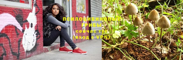 apvp Абинск