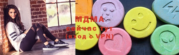 индика Приозерск